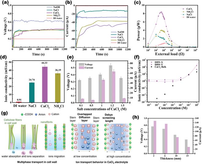 华南师范周国富团队张振AFM：全木质的水蒸发感应发电机(图8)