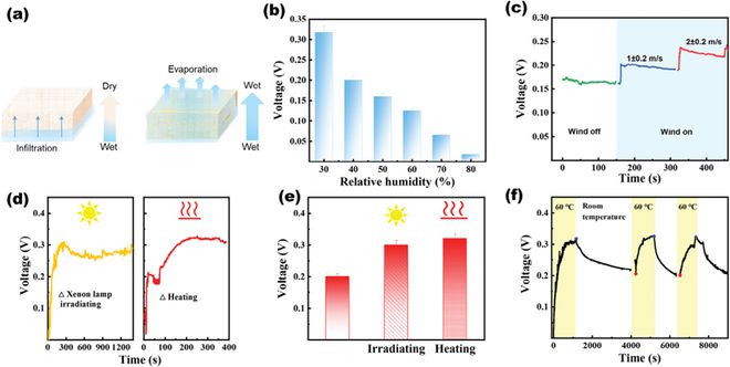 华南师范周国富团队张振AFM：全木质的水蒸发感应发电机(图7)