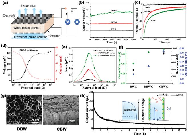 华南师范周国富团队张振AFM：全木质的水蒸发感应发电机(图6)