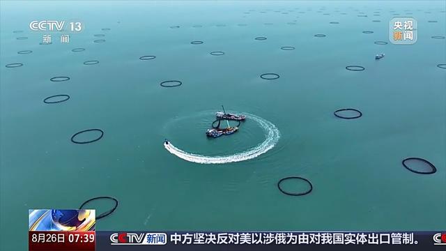 开云kaiyun官方网站踏浪逐鲜 湛江开渔后的“第一网鲜”来啦！(图3)