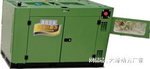 10千瓦柴油机国四排放发电(图1)